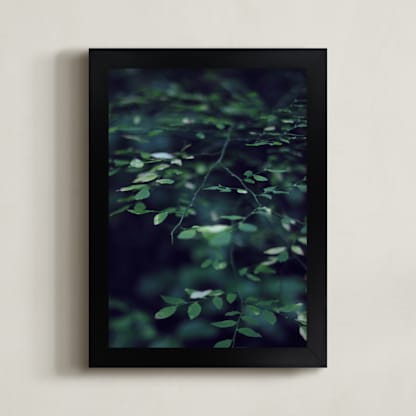 Forest Focus