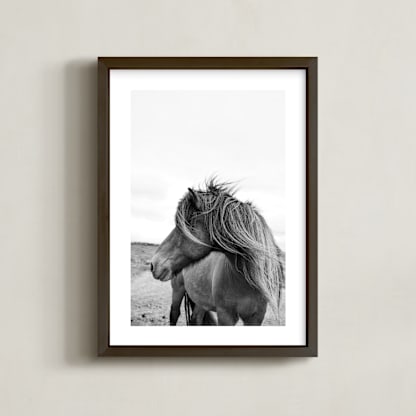 A Horse and the Wind