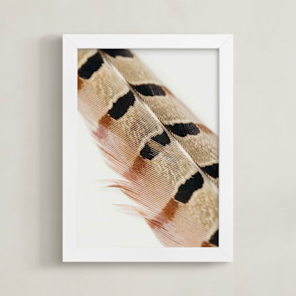 Feather Study I