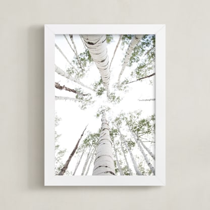 Aspens at Altitude