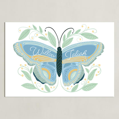Flutter & Fly