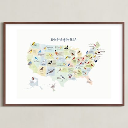 State Birds of the USA