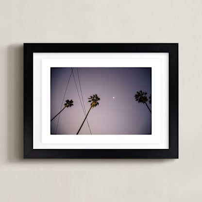 Pink Palms