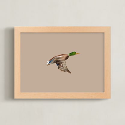 Mallards in Flight 1
