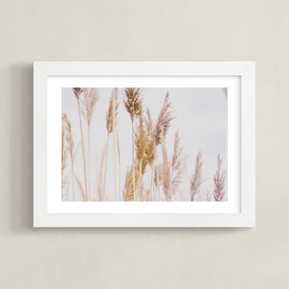 Tall Grass