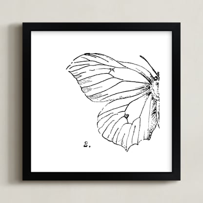 Moth No. 2