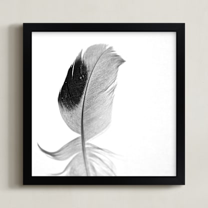 Ruffled Feather