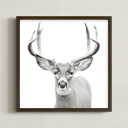 Buck