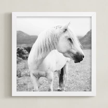 Field Horse