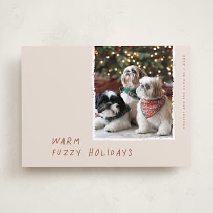 Warm Fuzzy