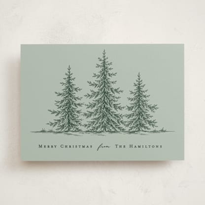 Evergreen Holiday