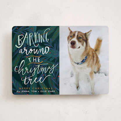 Barking Fun