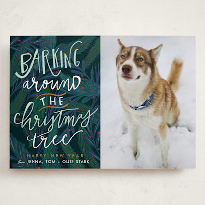 Barking Fun