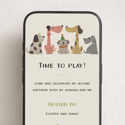 Dog party