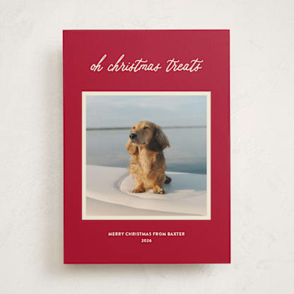 Christmas Treats