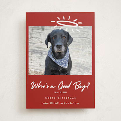 Good Boy
