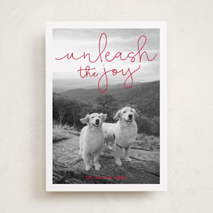 Unleash the Joy