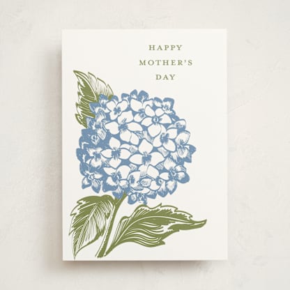 Pressed Hydrangea