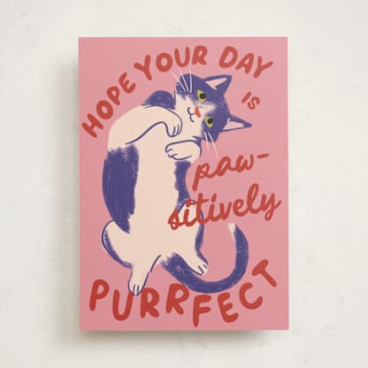 Purrfect