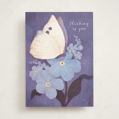 White Moth