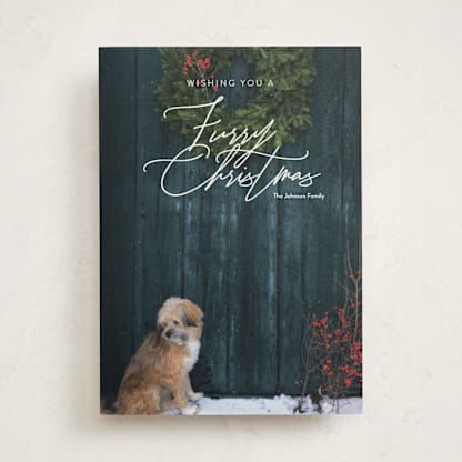 Furry Christmas