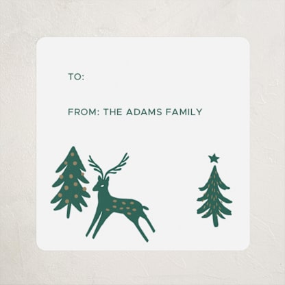 Holiday Folk Pattern