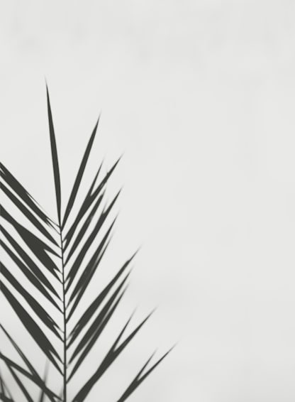 One