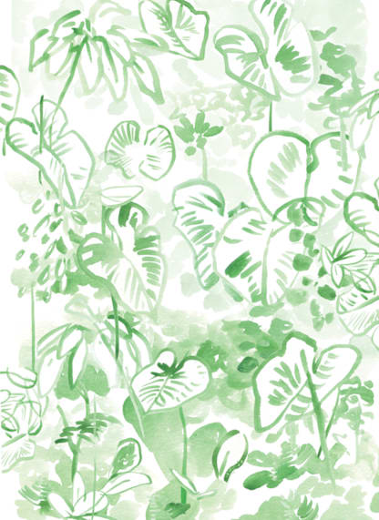 Palm jungle