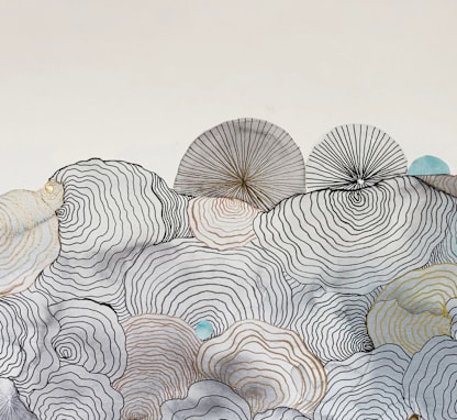 Shells in sand