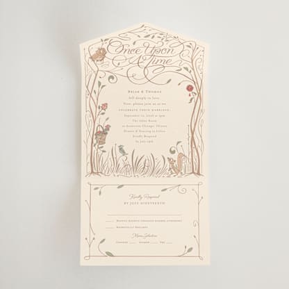 Disney Storybook