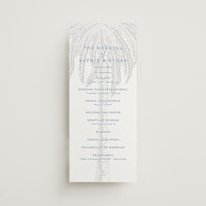 Palm Tree