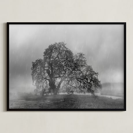 Limited Edition Fine Art Print 1