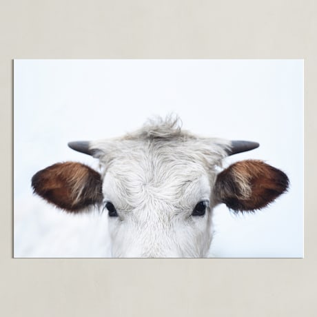 Limited Edition Fine Art Print 2