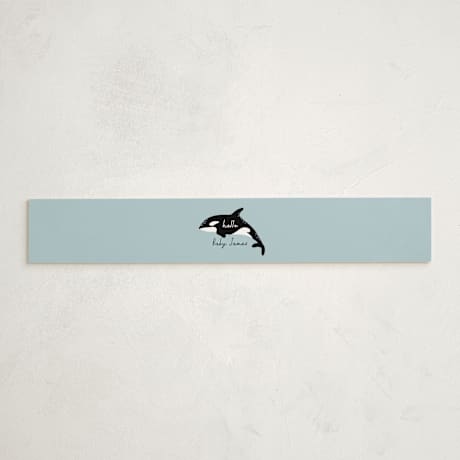 Baby Shower Belly Bands