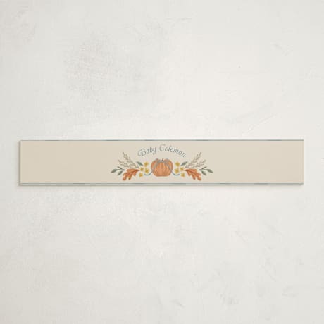 Baby Shower Belly Bands