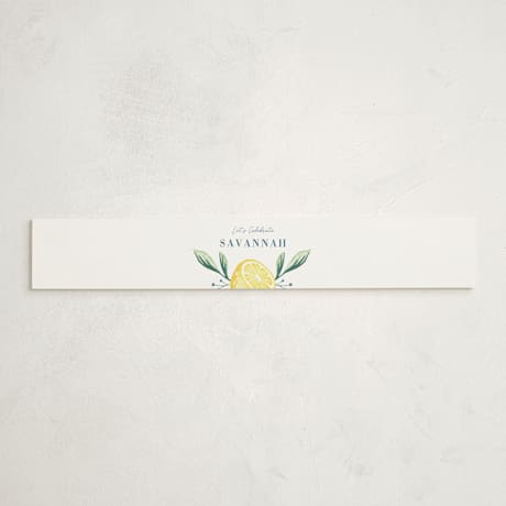Baby Shower Belly Bands