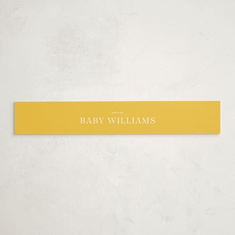 Baby Shower Belly Bands