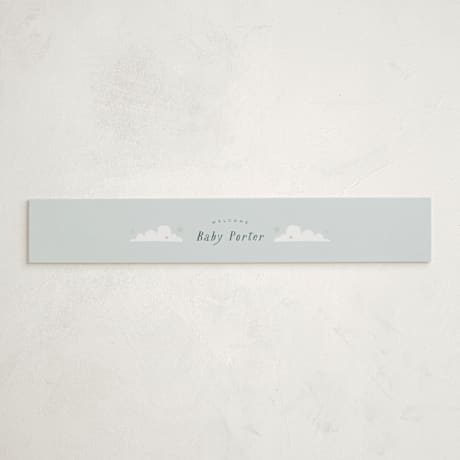 Baby Shower Belly Bands