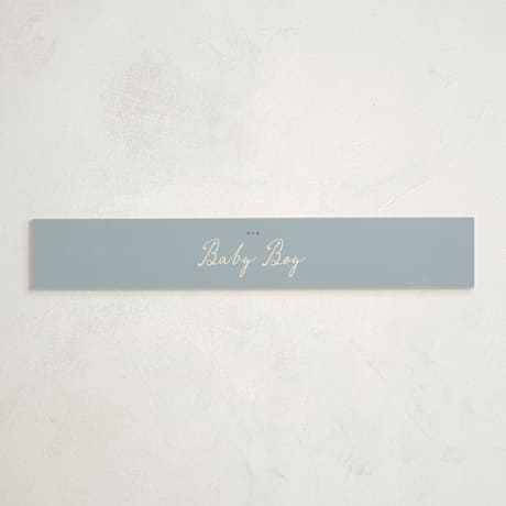 Baby Shower Belly Bands