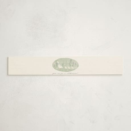 Baby Shower Belly Bands
