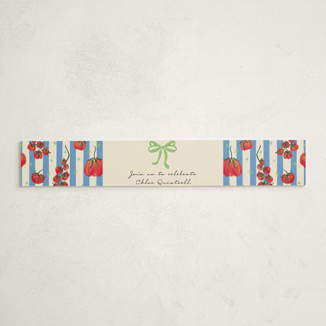 Baby Shower Belly Bands
