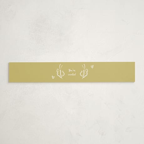 Baby Shower Belly Bands