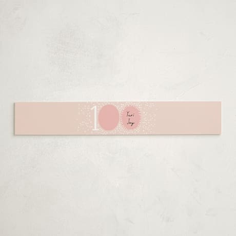 Baby Shower Belly Bands