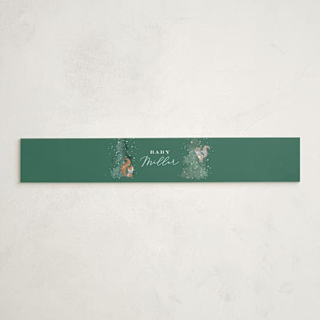 Baby Shower Belly Bands