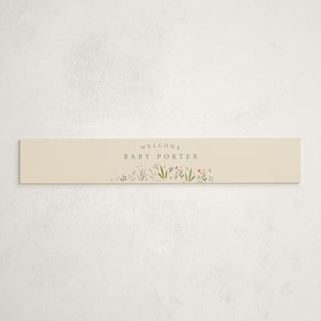 Baby Shower Belly Bands
