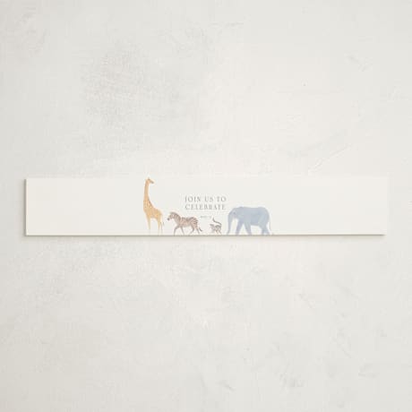 Baby Shower Belly Bands
