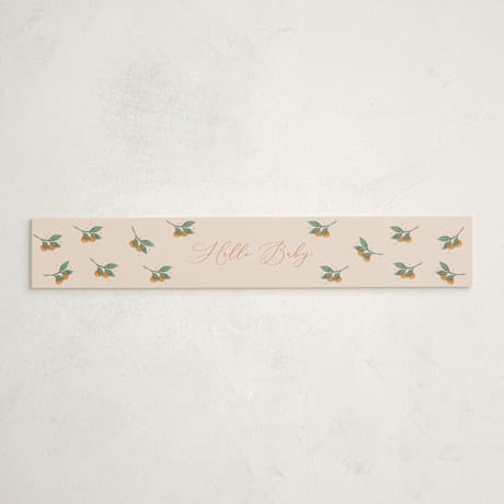 Baby Shower Belly Bands