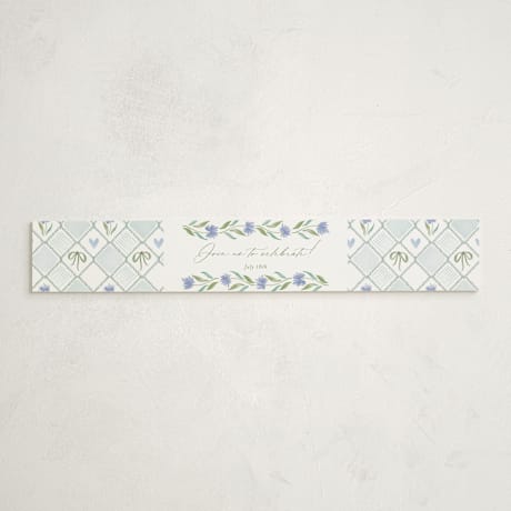 Baby Shower Belly Bands