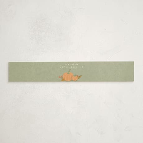 Baby Shower Belly Bands