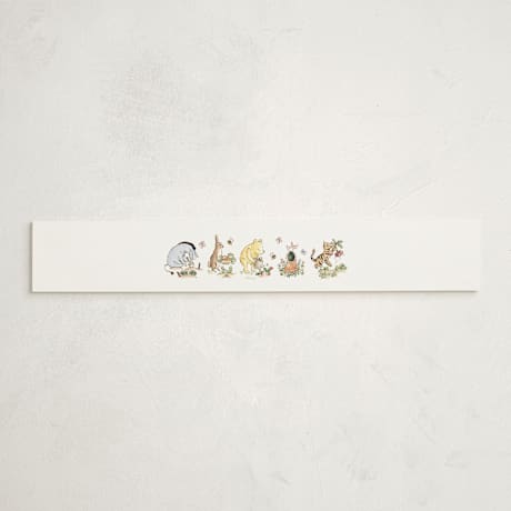 Baby Shower Belly Bands
